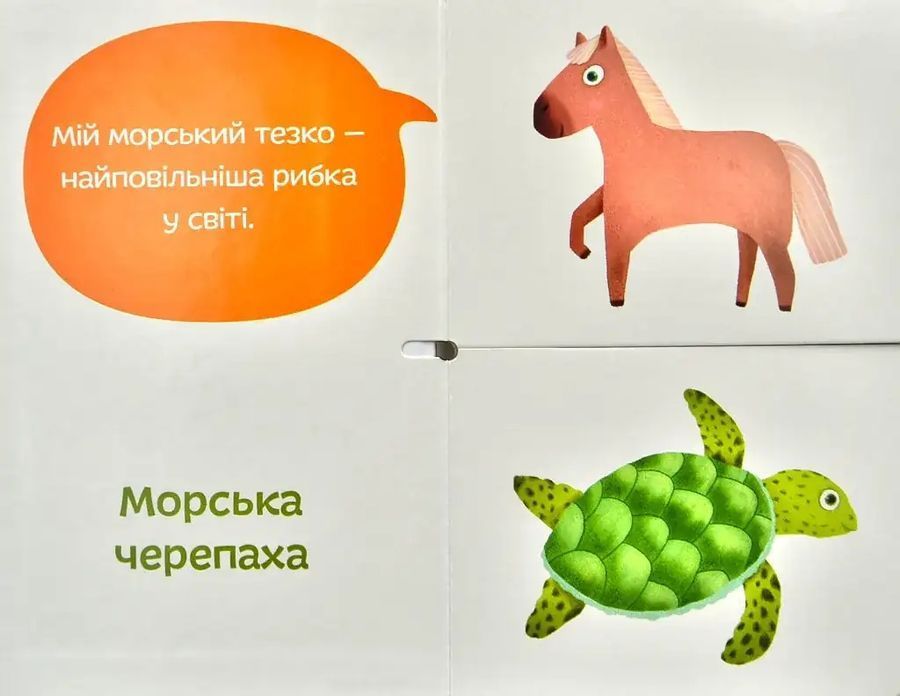 Морські тезки