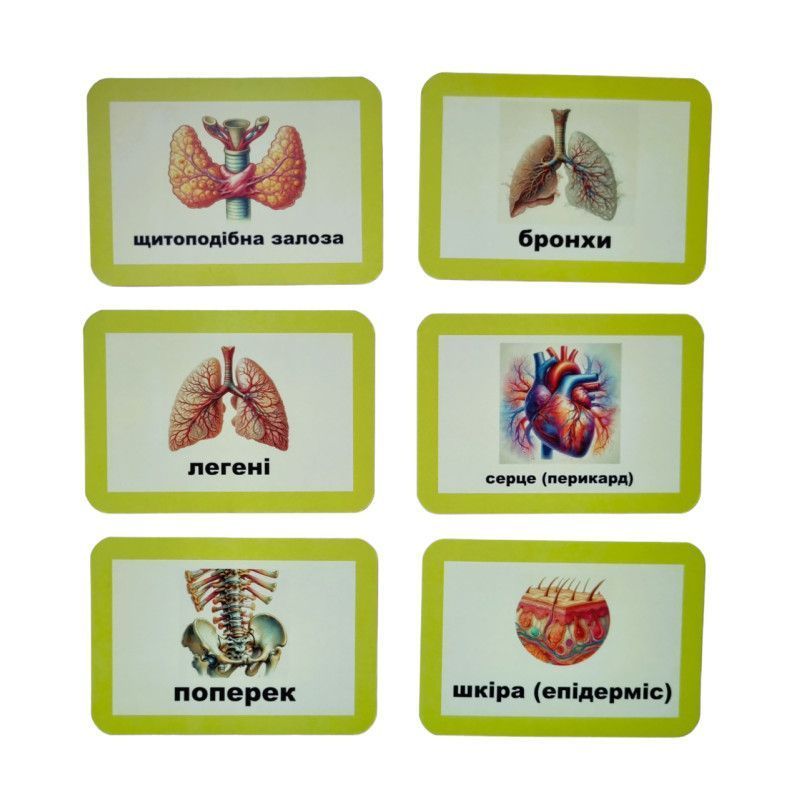 Життя і почуття.Метафоричні карти. Катерина Прокопенко